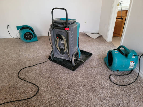 Best Water damage restoration cost  in Fivepointville, PA